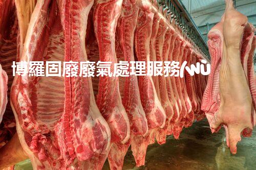 博羅固廢廢氣處理服務(wù)，靠譜又省心？快來了解！